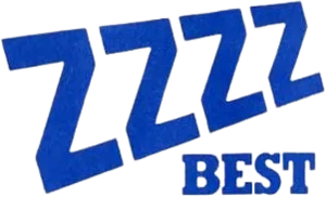Logo zzzz bet